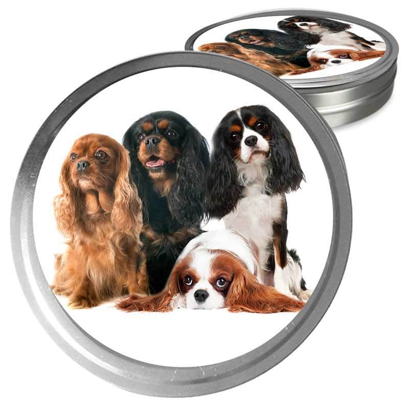 Cavalier King Charles Spaniel Custom Combo