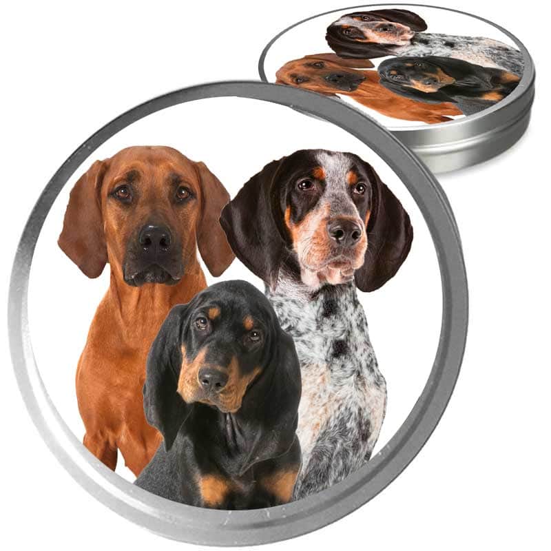 trio of coonhound dogs