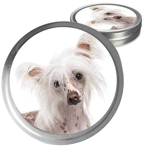 Chinese Crested Custom Combo
