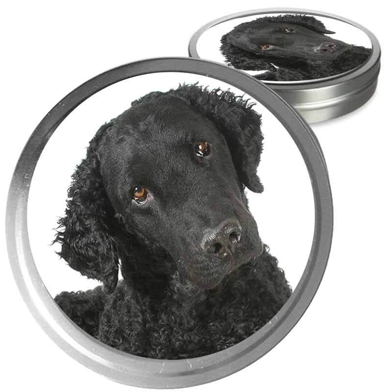 Curly Coated Retriever Custom Combo