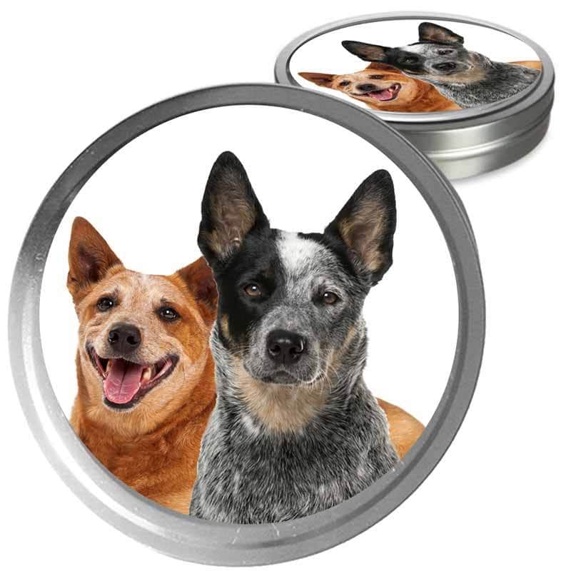 Australian Cattle Dog Custom Combo