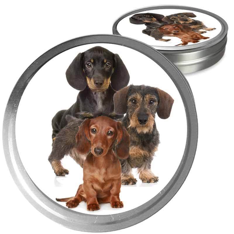 Dachshund Custom Combo