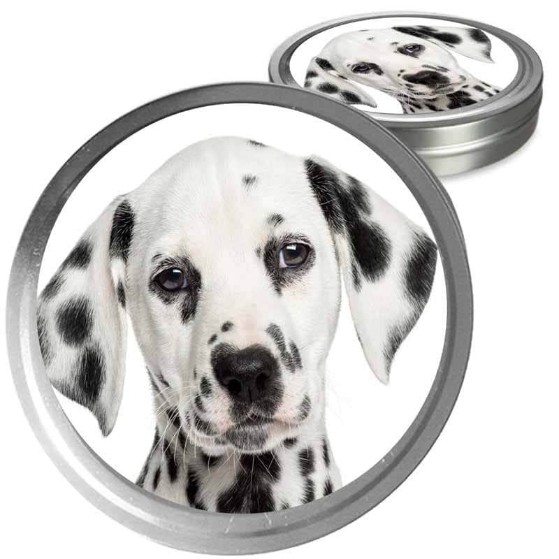 Dalmatian Custom Combo