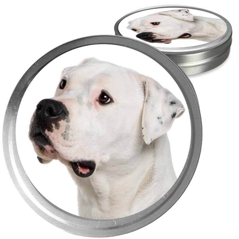 Dogo Argentino Custom Combo