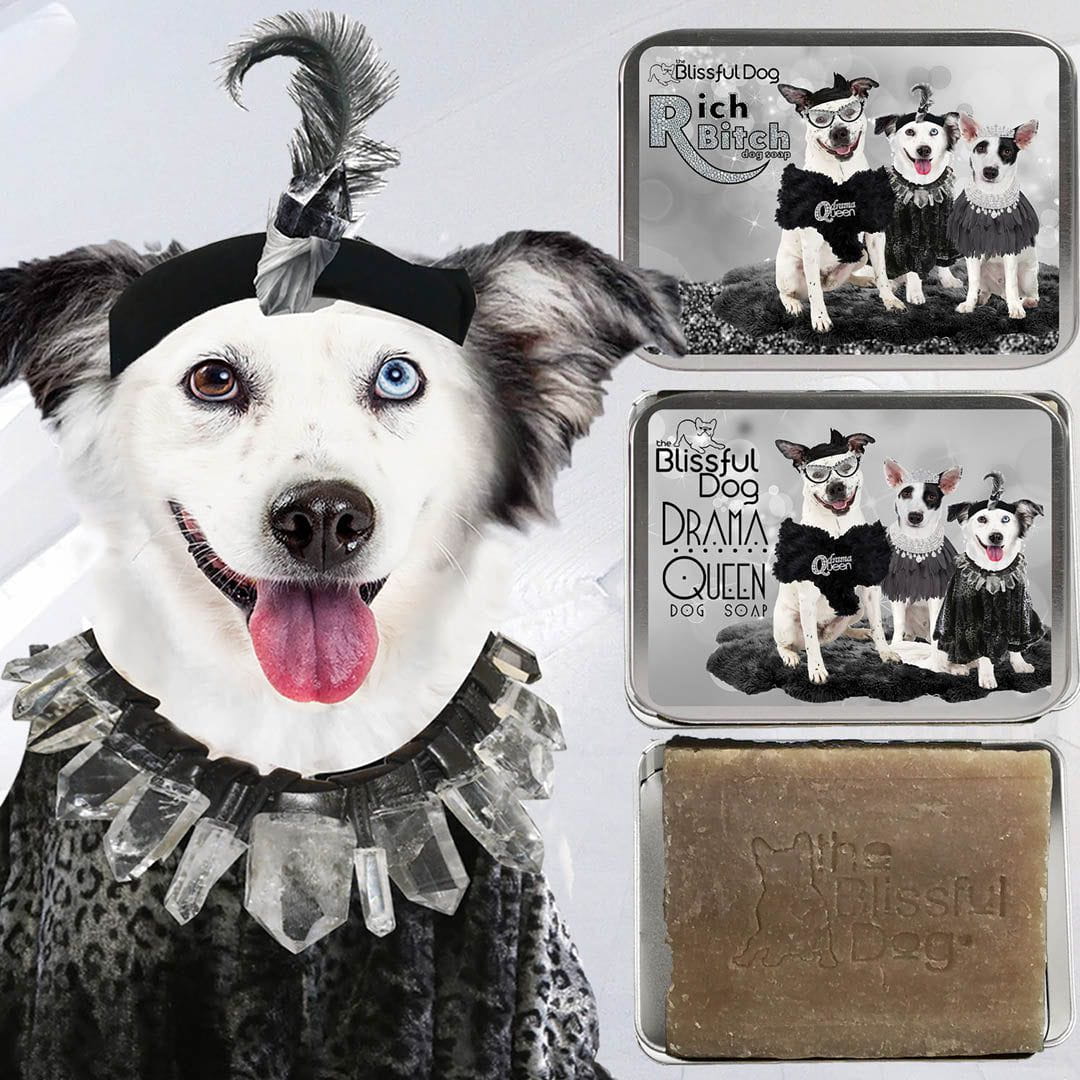 Rich Bitch Drama Queen Diva Dog Shampoo for Your Divalicious Dog