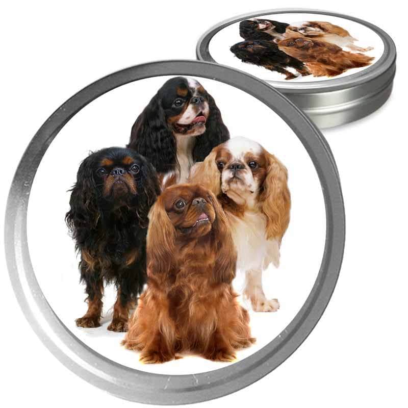 English Toy Spaniel Custom Combo