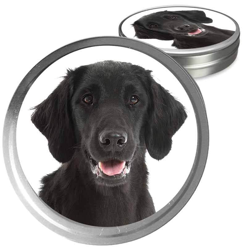 Flat-Coated Retriever Custom Combo