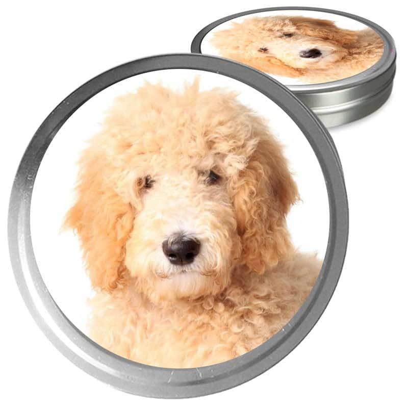 Goldendoodle Custom Combo