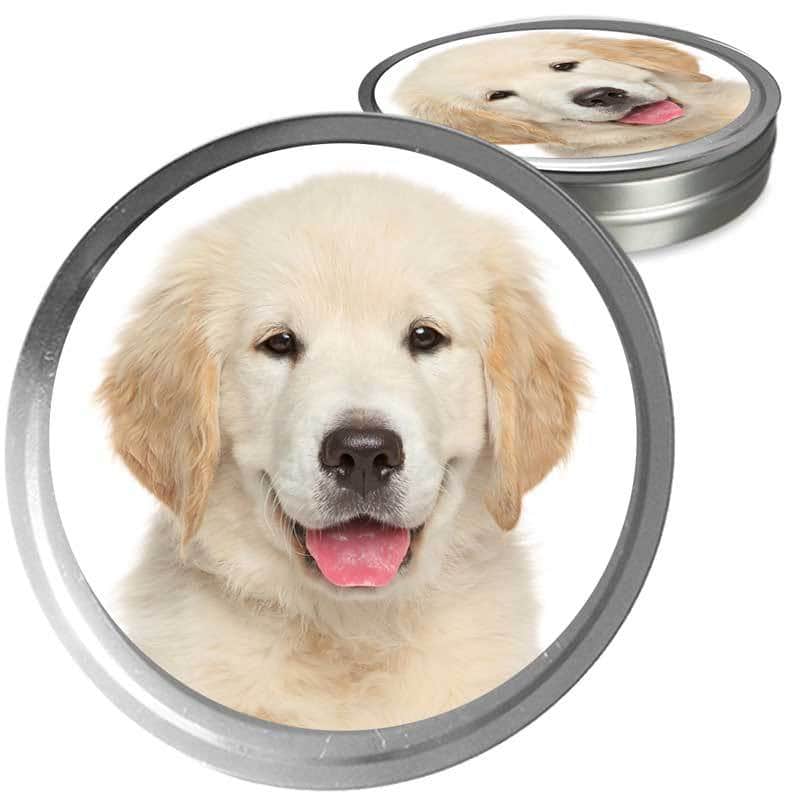 Golden Retriever Custom Combo