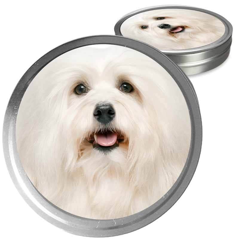 Havanese Custom Combo