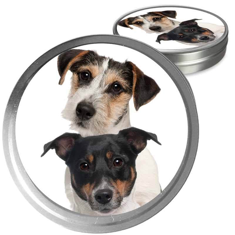 Parson Russell Terrier Custom Combo