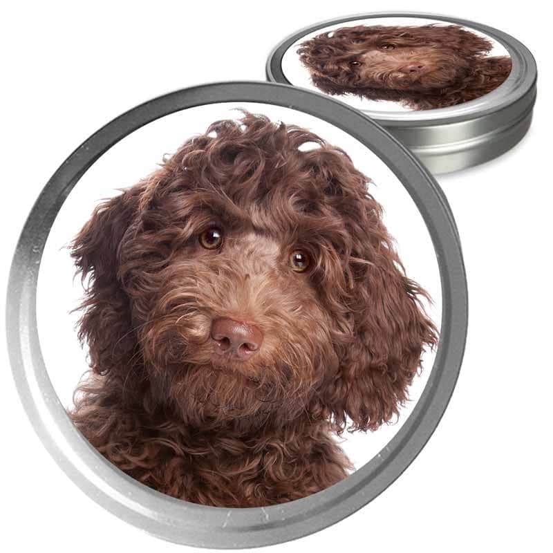 Labradoodle Custom Combo