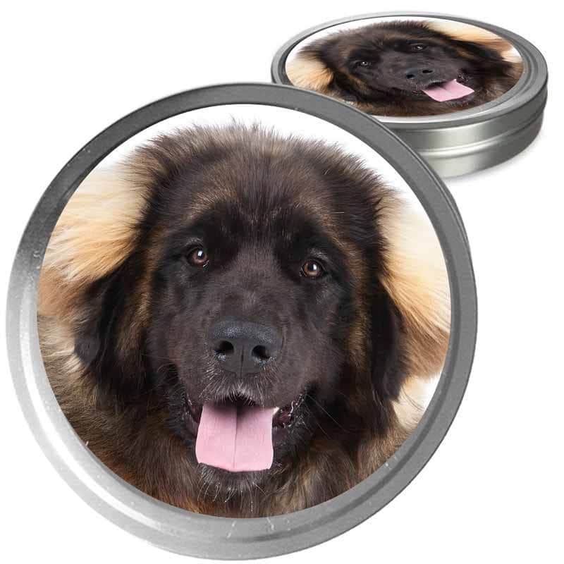 Leonberger Custom Combo