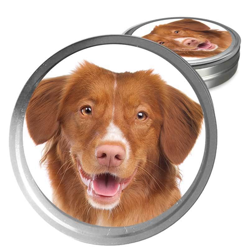 Nova Scotia Duck Tolling Retriever Custom Combo