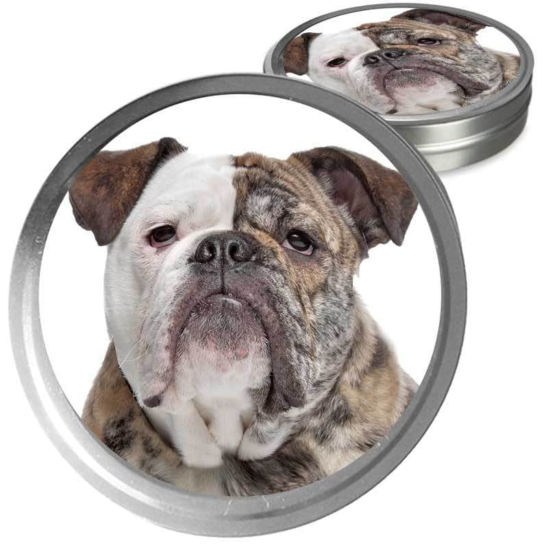 Shop Olde English Bulldogge Collection for Your Bully Nose to Tail