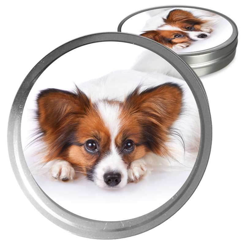 Papillon Pocket Mirror With the Image of a Dog. 