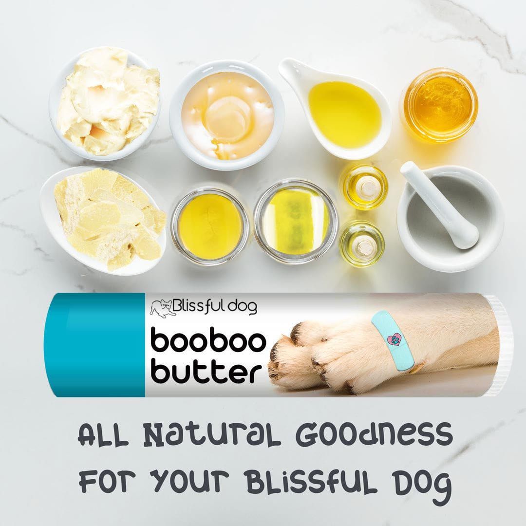 The Blissful Dog Boo Boo Butter Balm for Minor Dog Skin Irritations