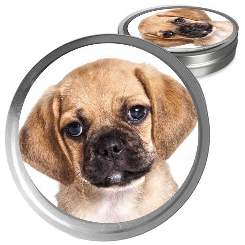 Puggle Custom Combo