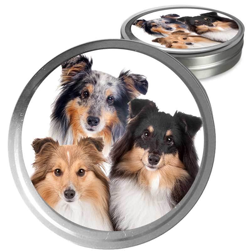 Shetland Sheepdog Custom Combo