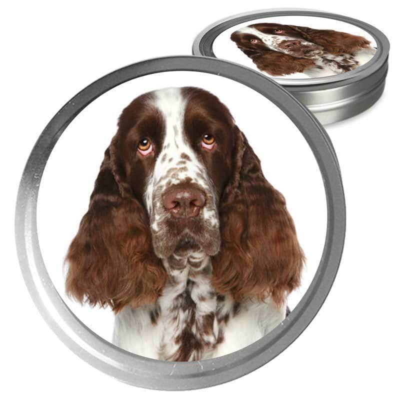 Springer Spaniel Care for Your Dog's Dry Nose, Rough Paws & Itchy Skin
