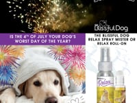 Biewer Terrier Relax Dog Aromatherapy