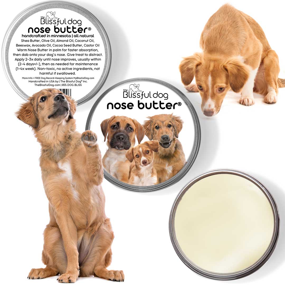 nose butter for dogs