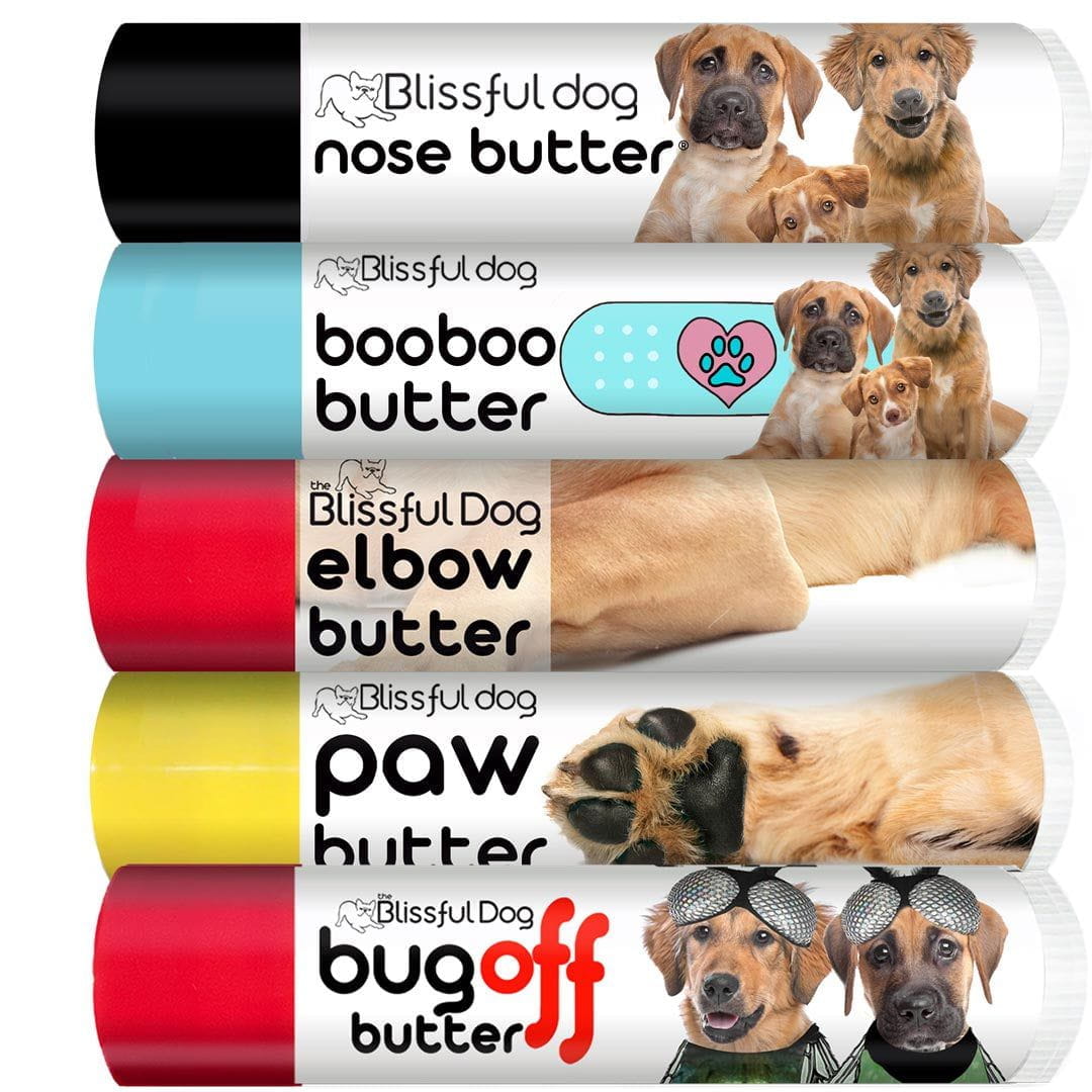 mixed breed dog gift