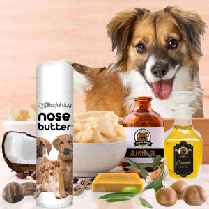 nose butter for dogs natural ingredients
