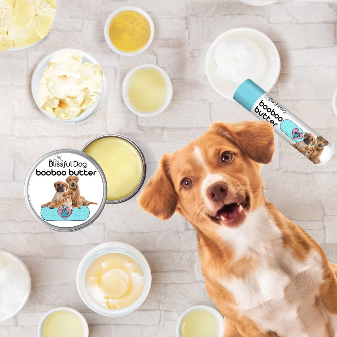 mixed breed dog skin care