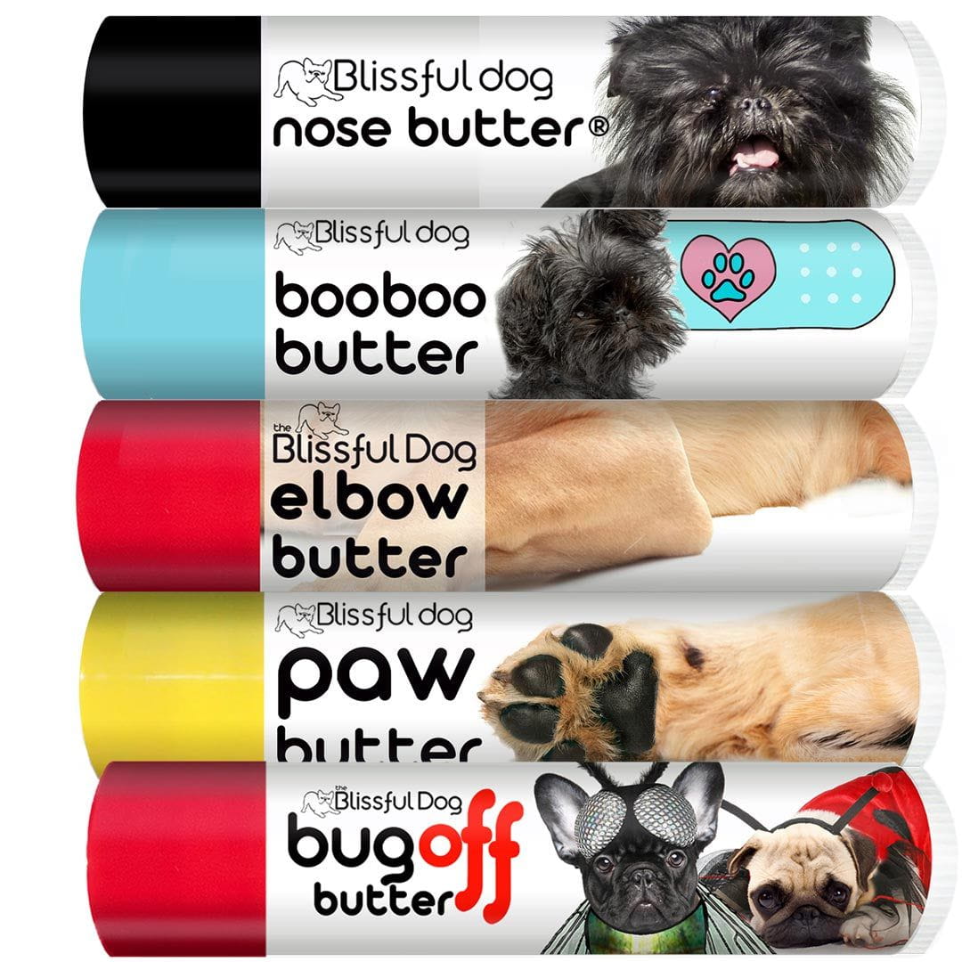 affenpinscher dog care