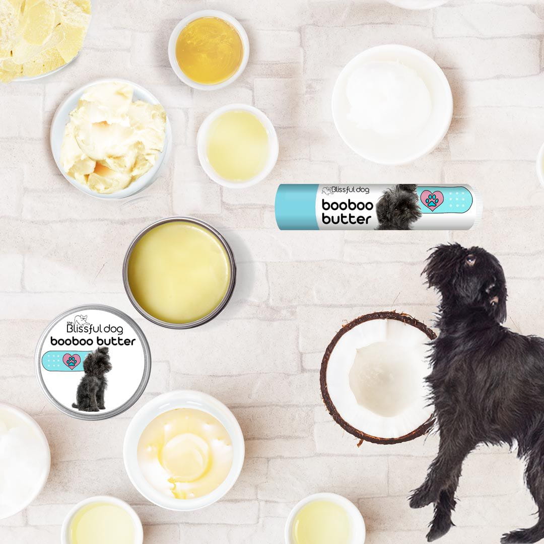 affenpinscher skin care