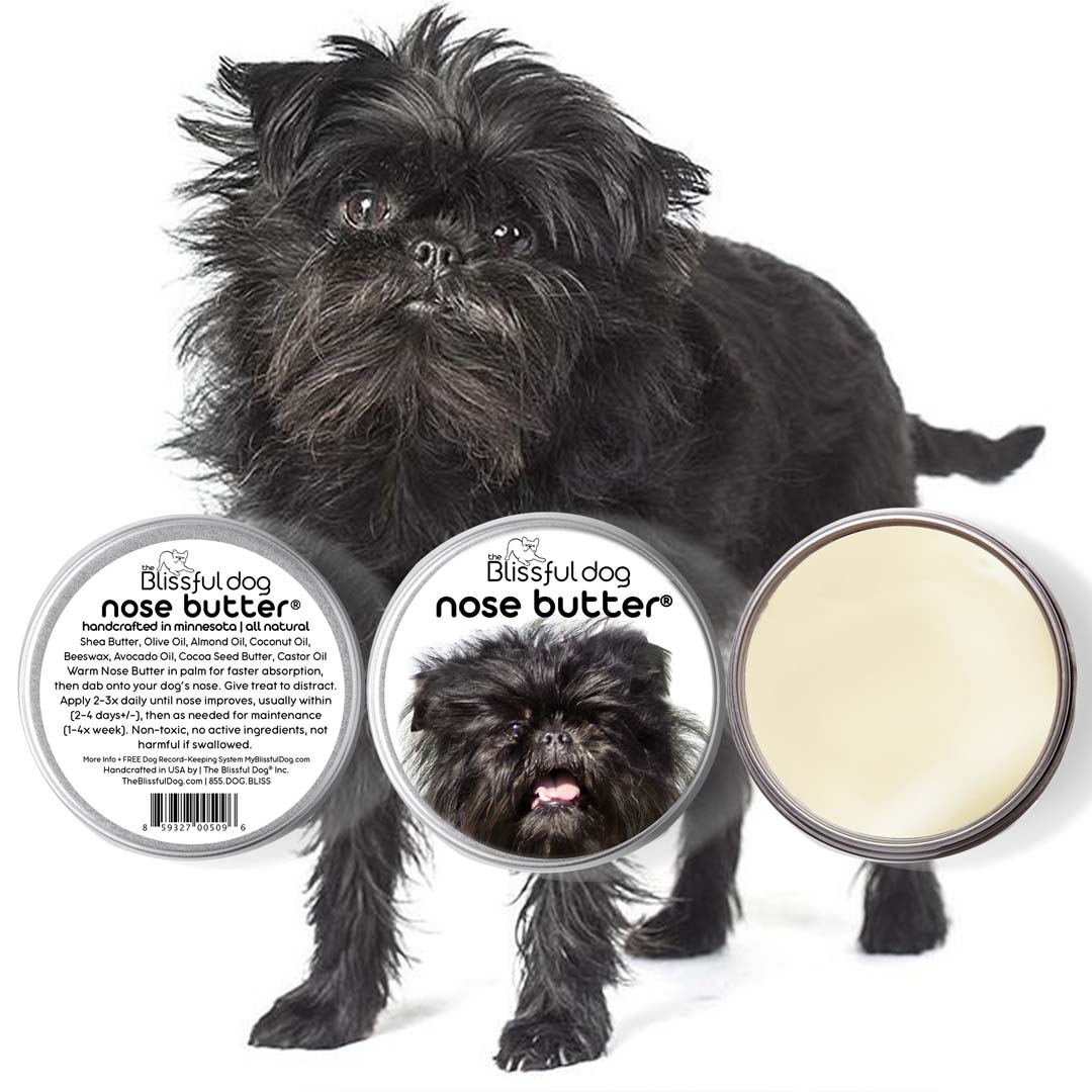Affenpinscher white on sale
