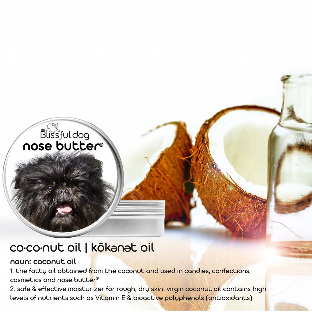 affenpinscher nose care