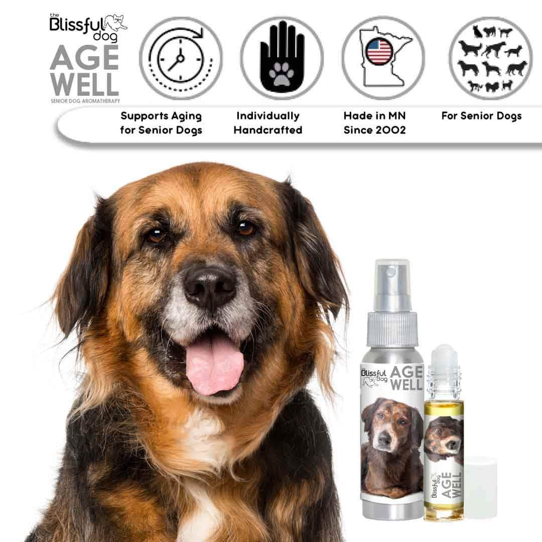Mixed Breed Age Well Dog Aromatherapy