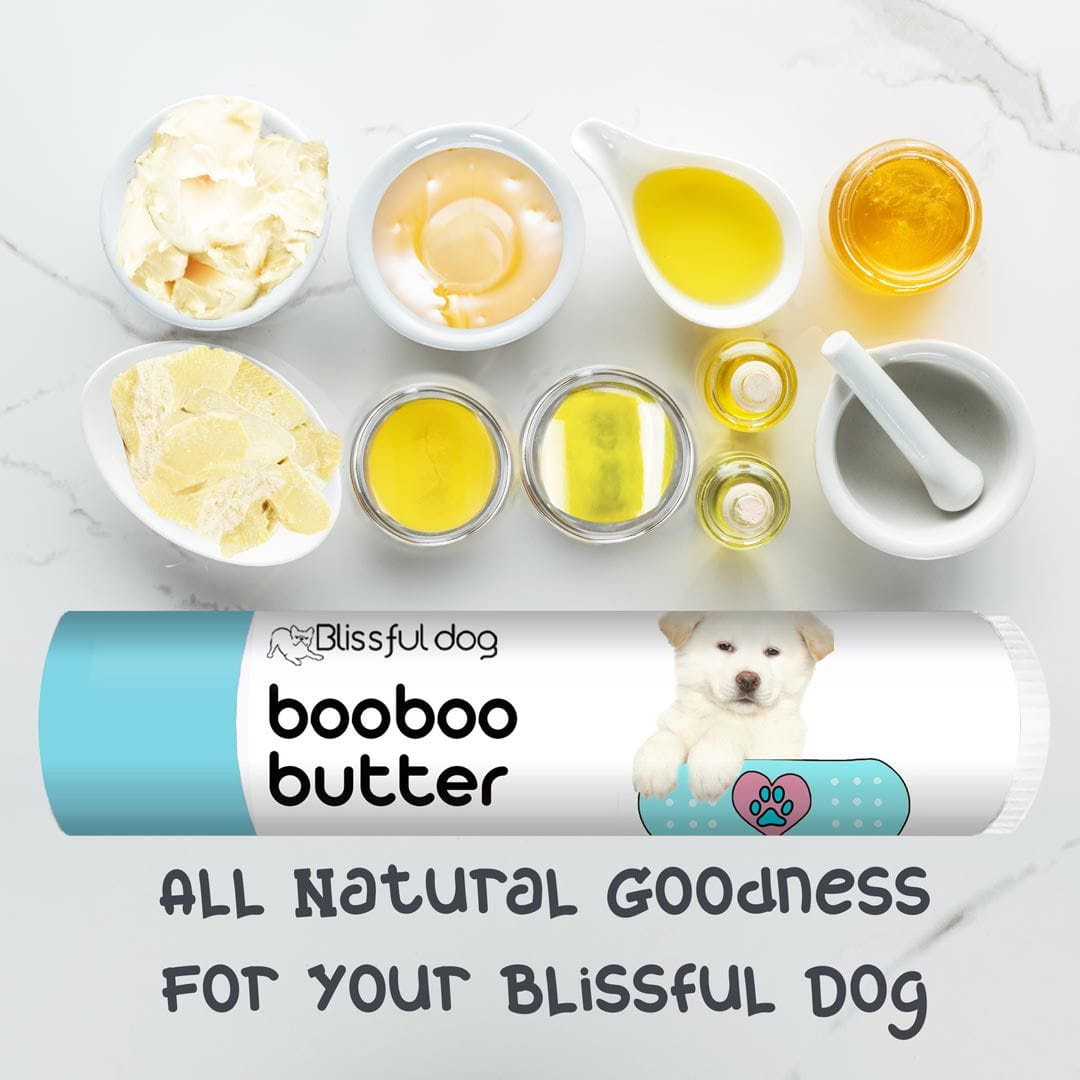 akita has itchy skin