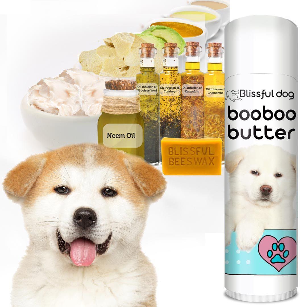 Best shampoo 2025 for akita