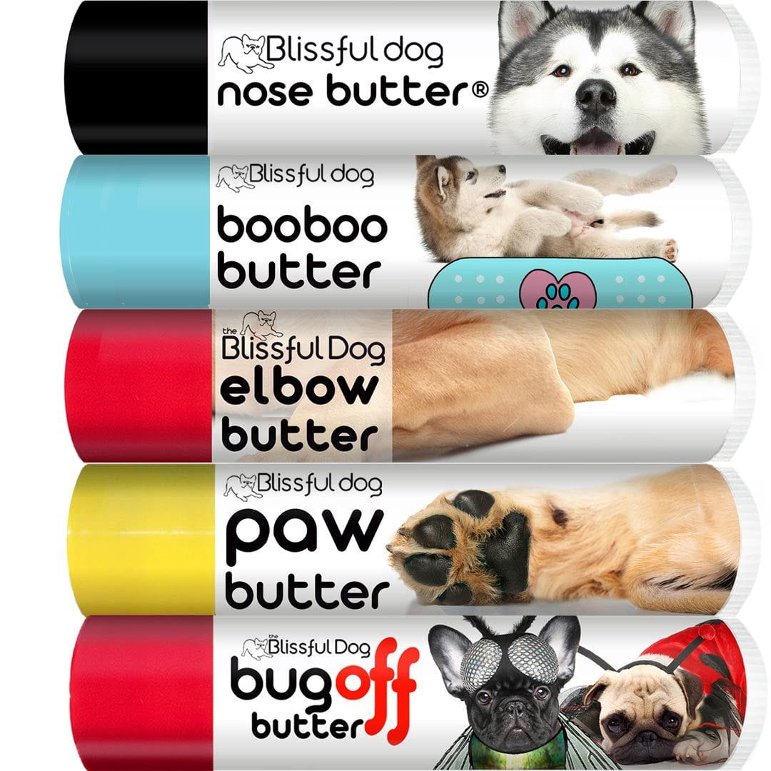 alaskan malamute pet care