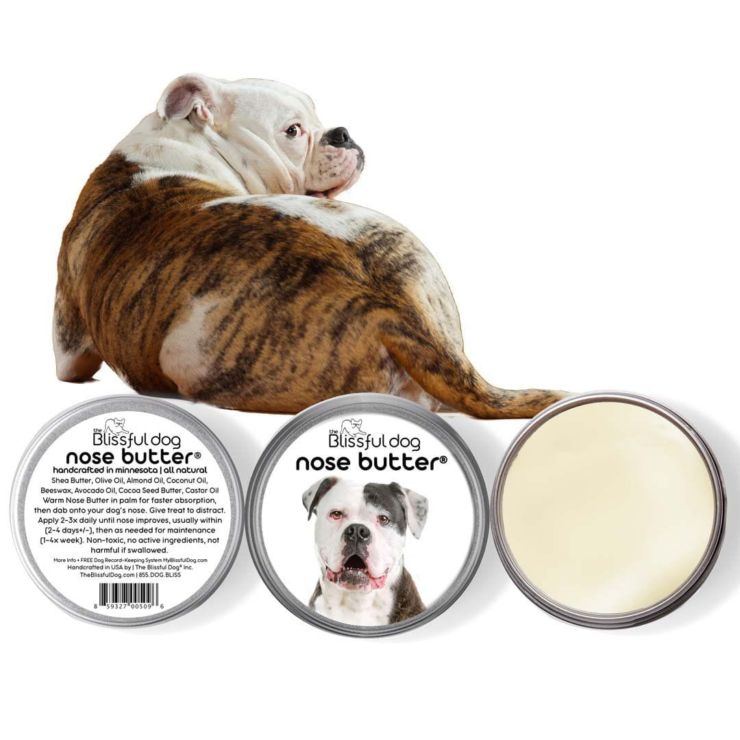 Dog bulldog sale nose butter