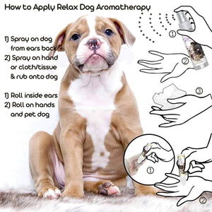 Using American Bulldog Relax Dog Aromatherapy