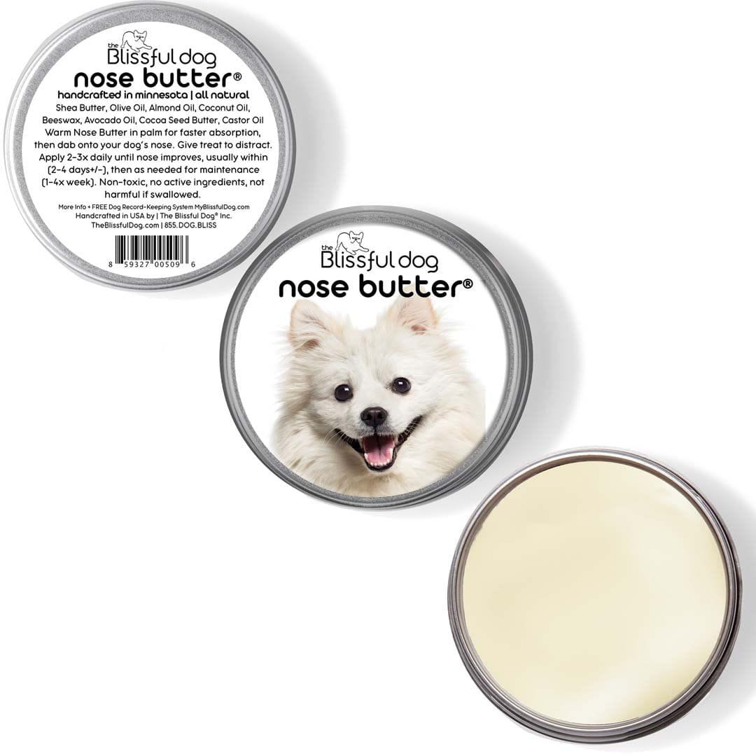 American Eskimo has dry Nose