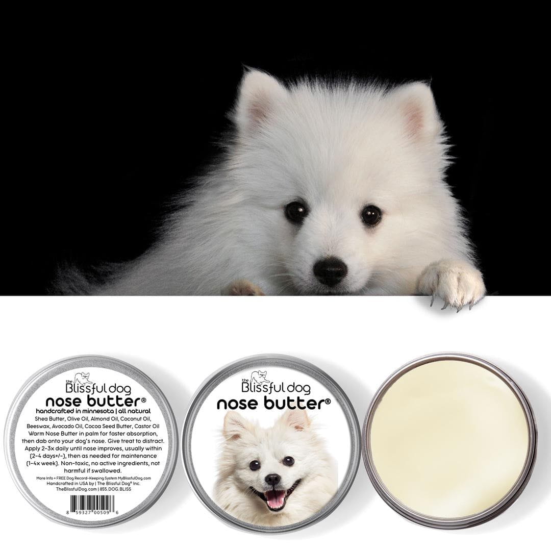 american eskimo puppy