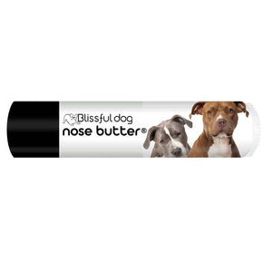 American Staffordshire Terrier dry nose