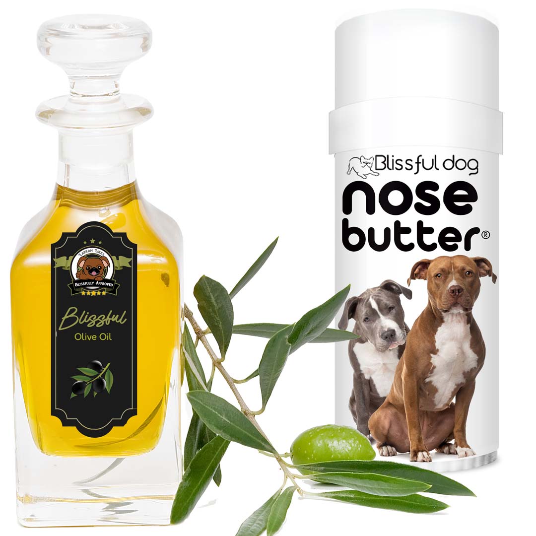 american staffordshire terrier grooming