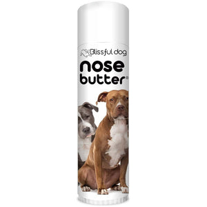 American Staffordshire Terrier Nose is dry