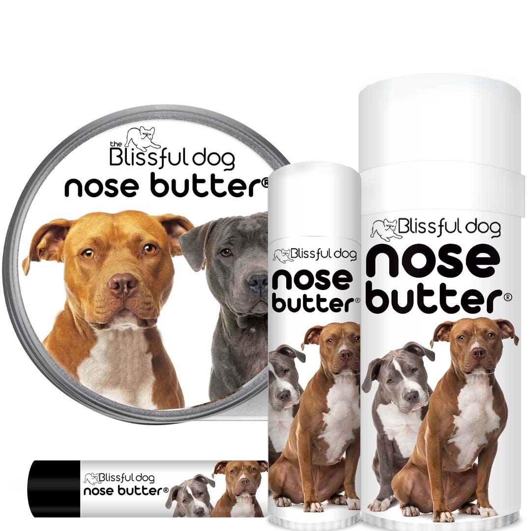 American Staffordshire Terrier Nose Care