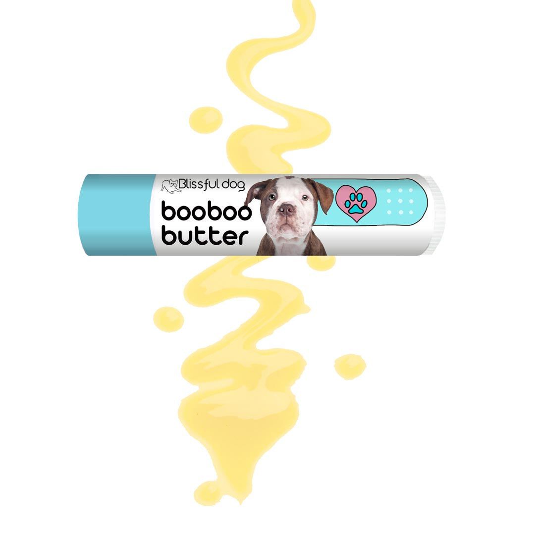 american bulldog puppy care