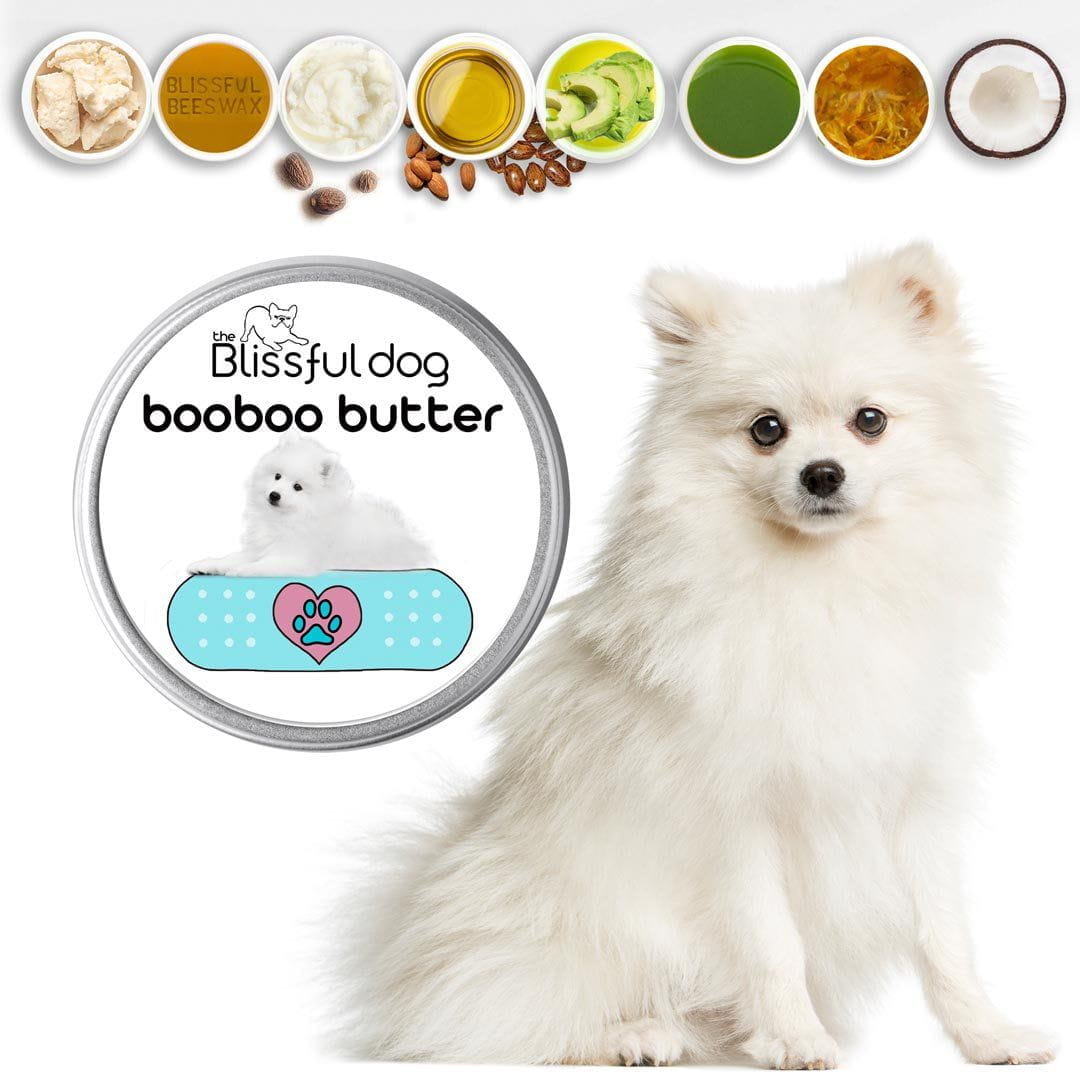 American Eskimo Boo Boo Butter Herbal Balm for Itchy Skin Irritations
