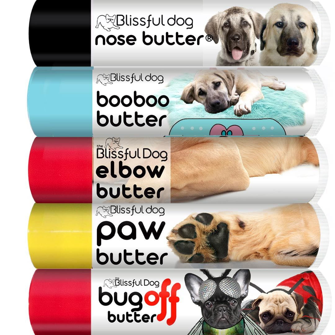 Anatolian Shepherd skin care