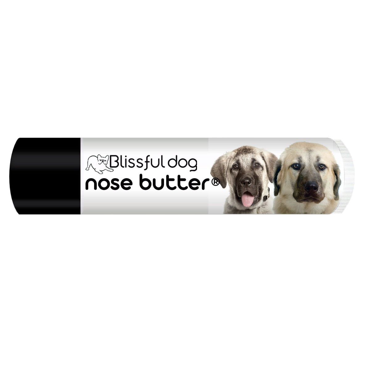 Anatolian shepherd dry nose butter
