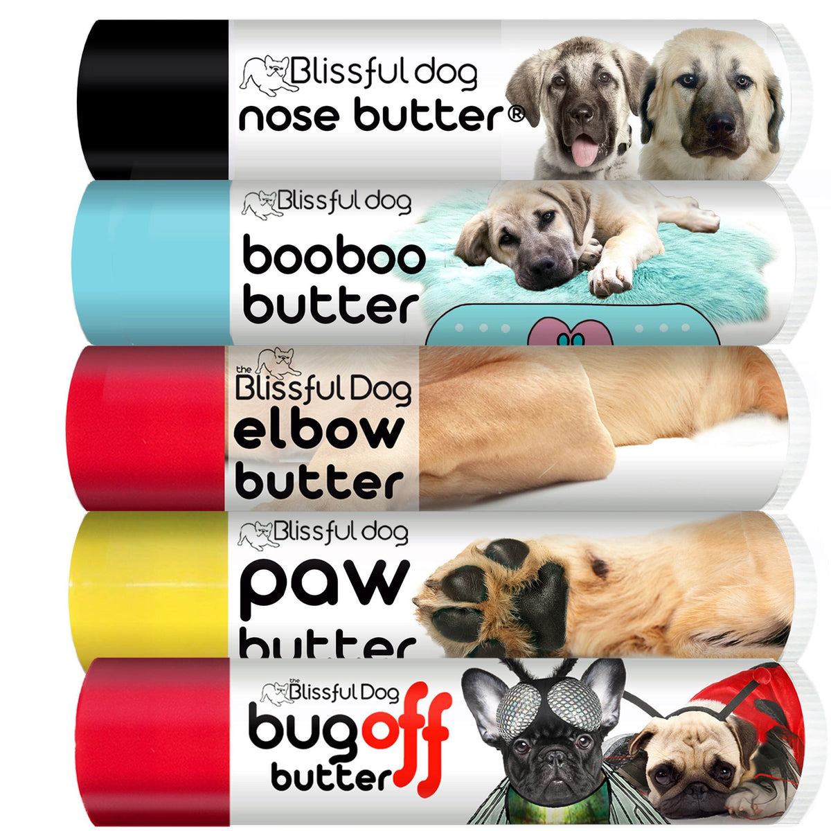 anatolian shepherd puppies